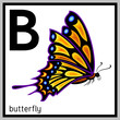 butterfly and english letter 