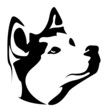 Husky