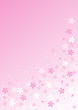 Cherry blossoms