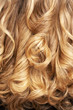 close-up of curly blond hair close-up of curly blond hair