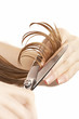 hair stylist cutting wet hair with professional scissors