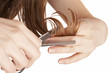 hair stylist cutting wet hair with professional scissors hair stylist cutting wet hair with professional scissors