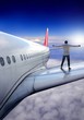 fly