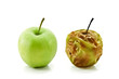 apples