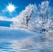 Winter in the mountains Winter in the mountains