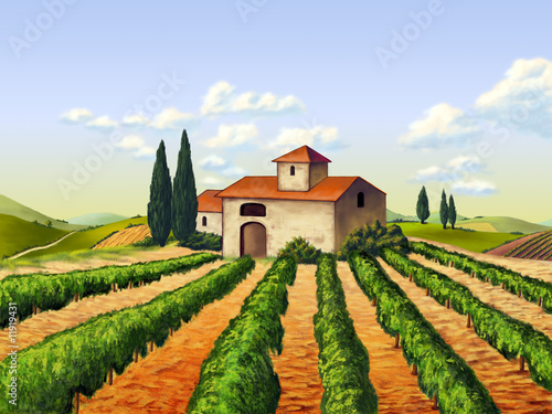 Illustration: Italian vineyard Italian vineyard