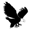 Illustration: Eagle Silohette - Isolated On white Eagle Silohette - Isolated On white