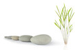 Zen Power