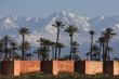 neige, palmiers et ramparts.