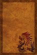 American Indian national patterns