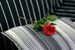 red rose on a black sofa