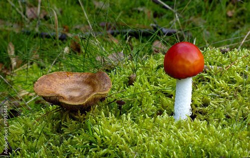 Photo: Gegensätze Gegensätze
