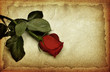 Vintage love message Vintage love message