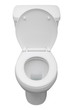 Toilet isolated