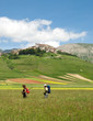 Castelluccio fioritura B