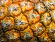 Bark of pineapple