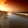 ocean sunrice