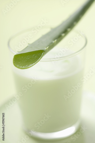 Photo: aloe vera leaf on glass of yoghurt aloe vera leaf on glass of yoghurt