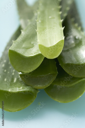 Photo: aloe vera (close-up) aloe vera (close-up)