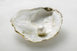 pearl in oyster shell