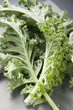 two kale leaves on fabric napkin