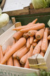 carrots in crate at a market