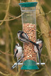 a birdfeeder full of long-tailed tits