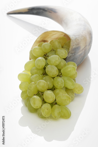Photo: green grapes in a horn green grapes in a horn