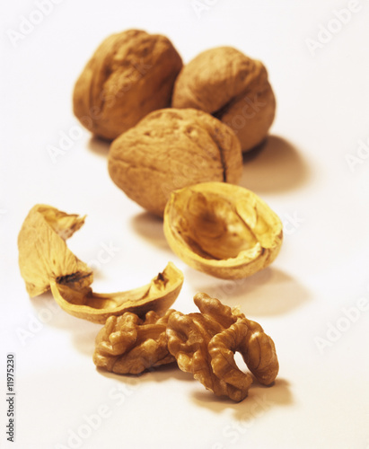 Photo: walnuts walnuts