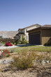 Yard in New Housing Development