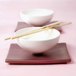 two food bowls