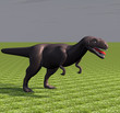 Tyrannosaurus