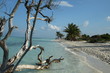 tropical landscape
