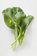 choi sum (chinese flowering cabbage) with flowers