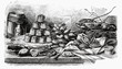 buffet with pies and seafood (illustration)