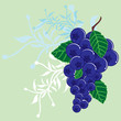 Berry