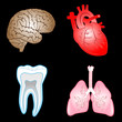 Vector medical icons. Color set. Simply change.