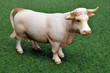 Foto: Kuh Milchkuh - Cow Kuh Milchkuh - Cow