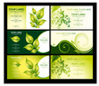 Business card with green foliage