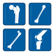 icons - knochen und gelenke - vol. 1