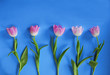 Easter Tulips