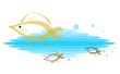 school of goldfish