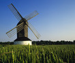 windmill