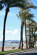 Cannes croisette