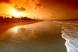 ocean sunrice