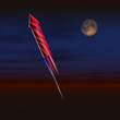 Firework