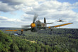 Photo: airplane special 2 airplane special 2