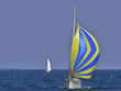 Spinnaker