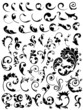 set beauty floral vector set beauty floral vector