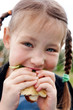 Healthy food on fresh air